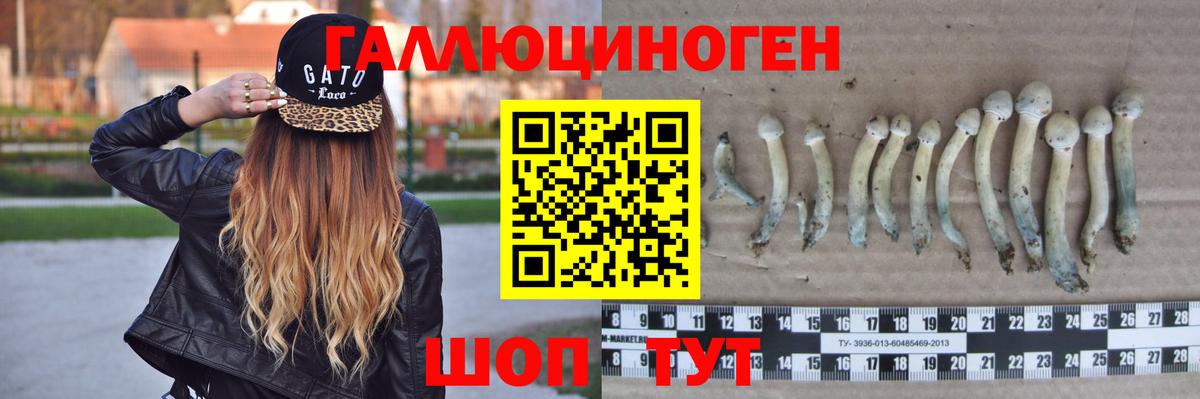 Галлюциногенные грибы Psilocybine cubensis  Вход с VPN  Добрянка  Галлюциногенные грибы MAGIC MUSHROOMS 